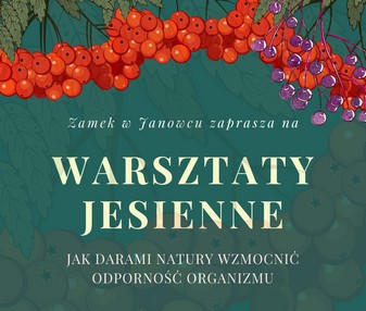 Warsztaty Jesienne na Zamku w Janowcu – 30.09.2022 r.